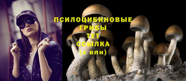 шишки Вязьма
