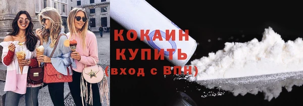 шишки Вязьма