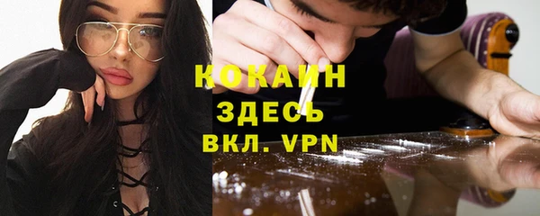 шишки Вязьма