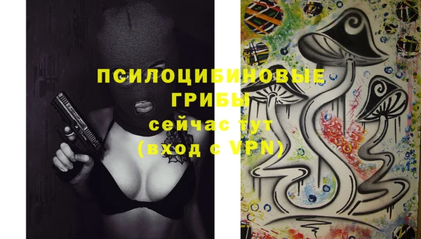 шишки Вязьма