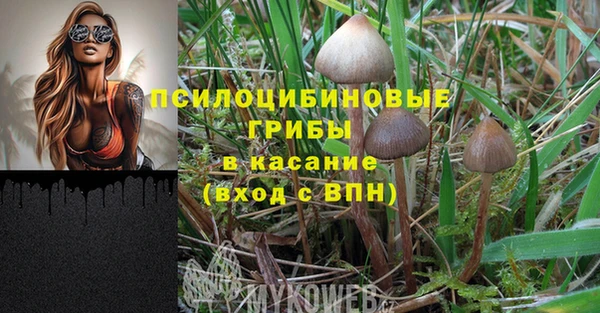 СК Вязники