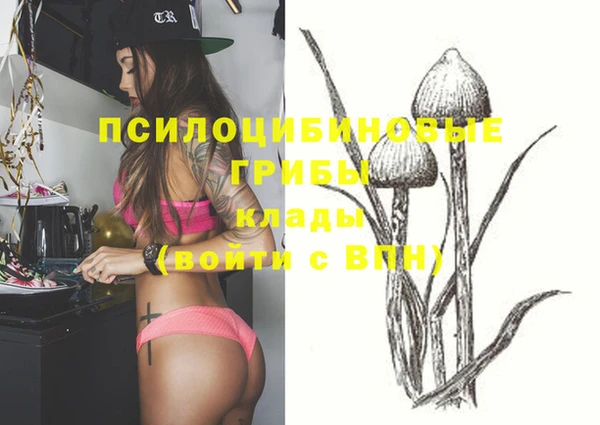 СК Вязники